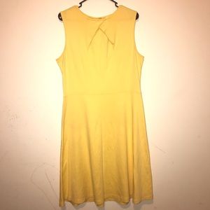 New York & Company Dress